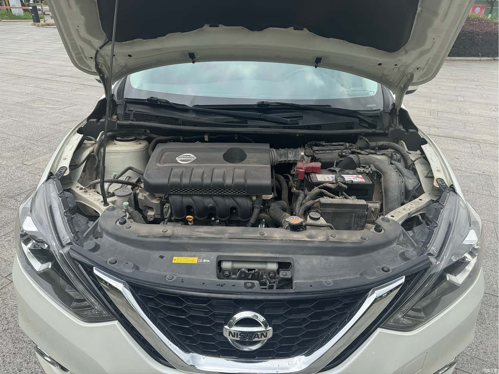 Nissan Sylphy, 2019 13