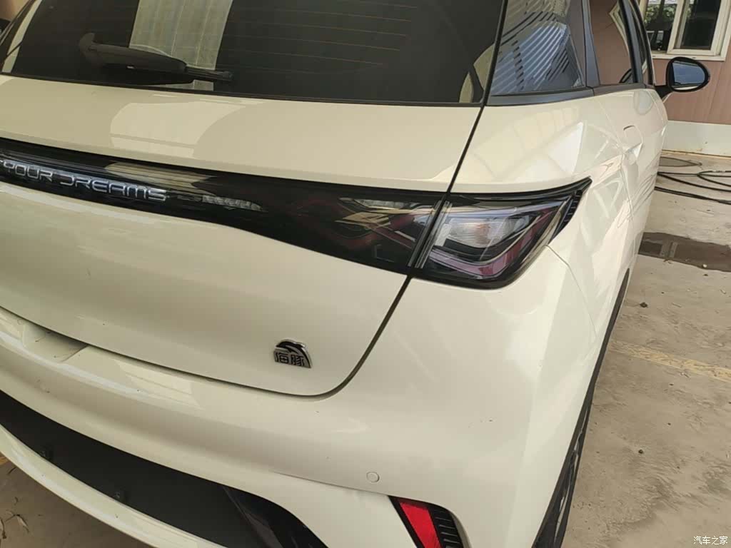 BYD Dolphin, 2024 8