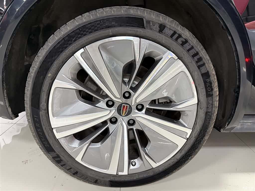 Hongqi E-HS9, 2023 28