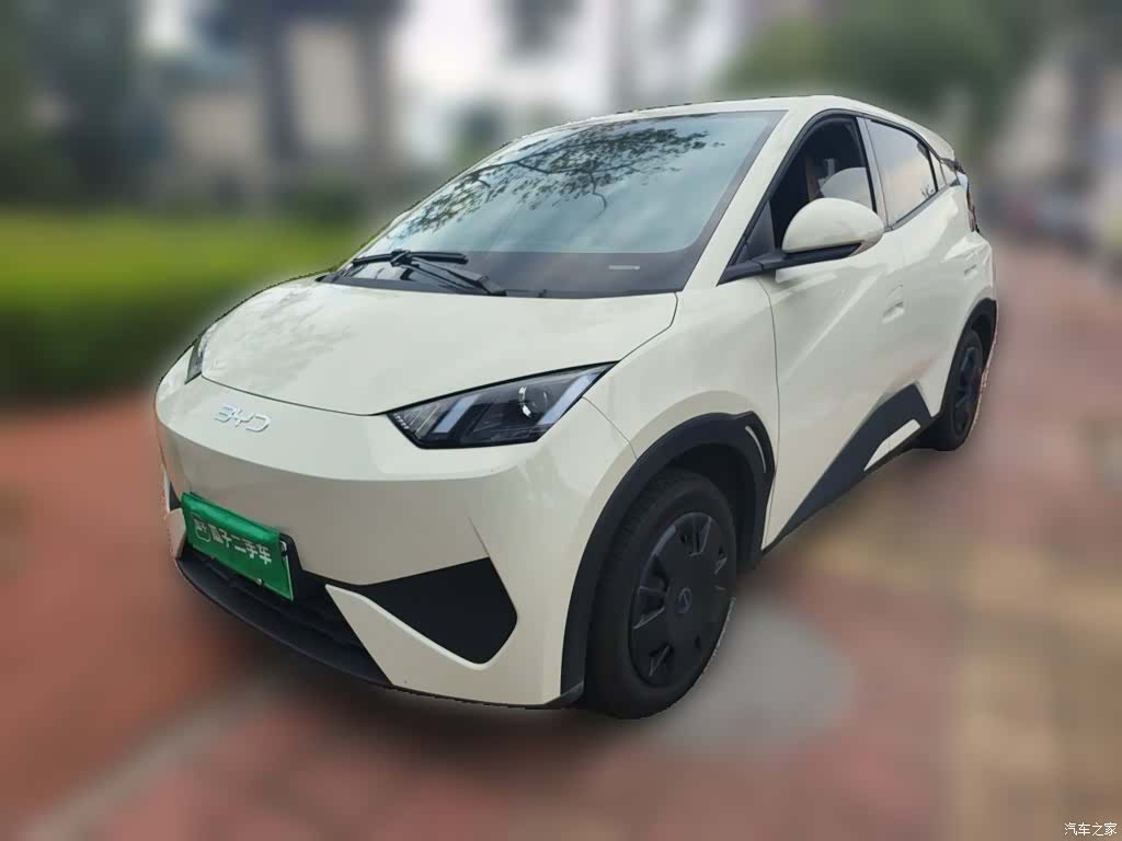 BYD Seagull, 2025 1