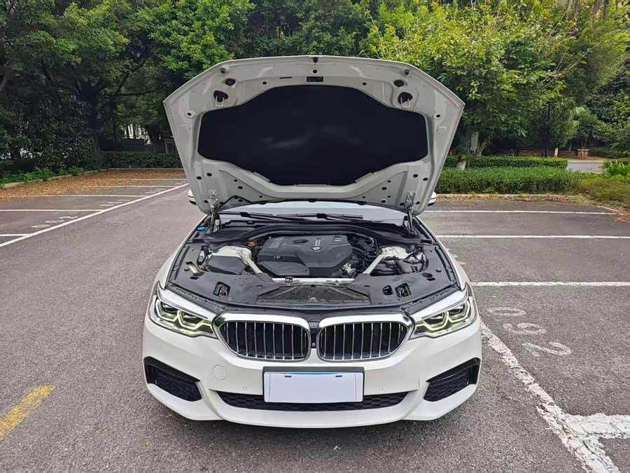 BMW 5 Series 2018, фото 15