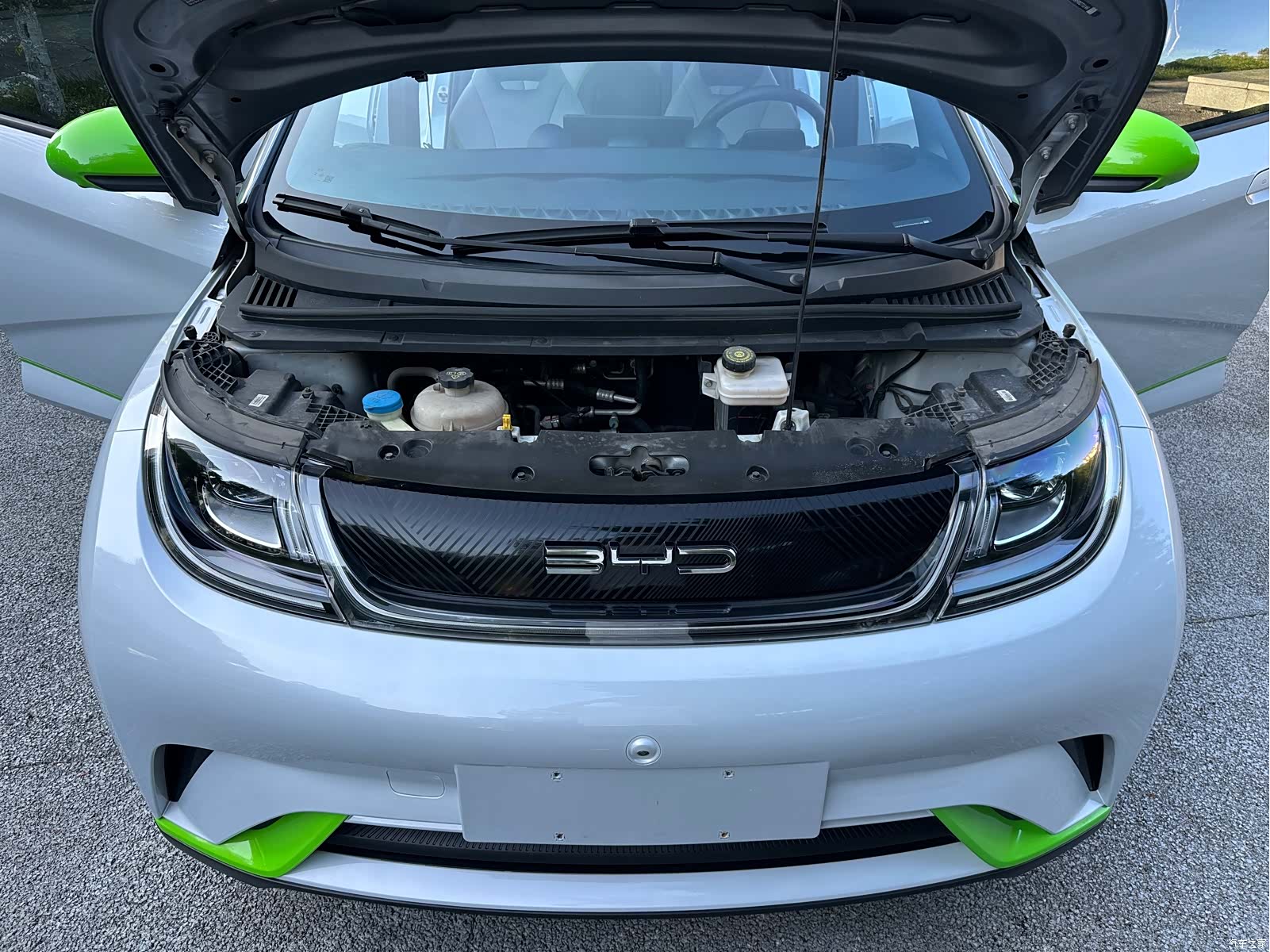 BYD Dolphin, 2023 17