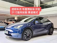 Model Y 2021�� Performance������ȫ��������