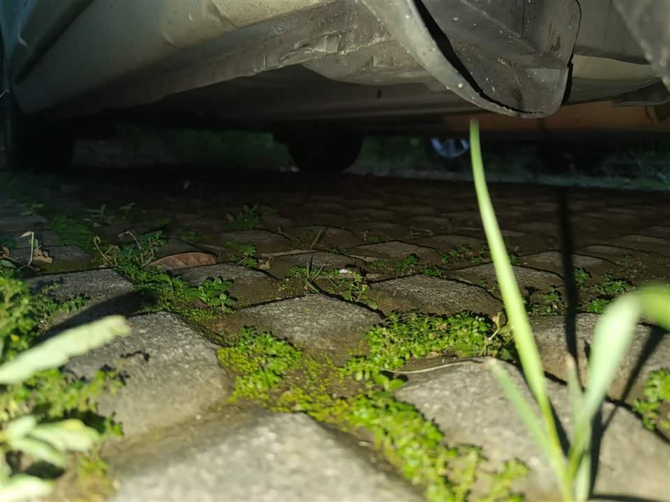 Citroen Sega