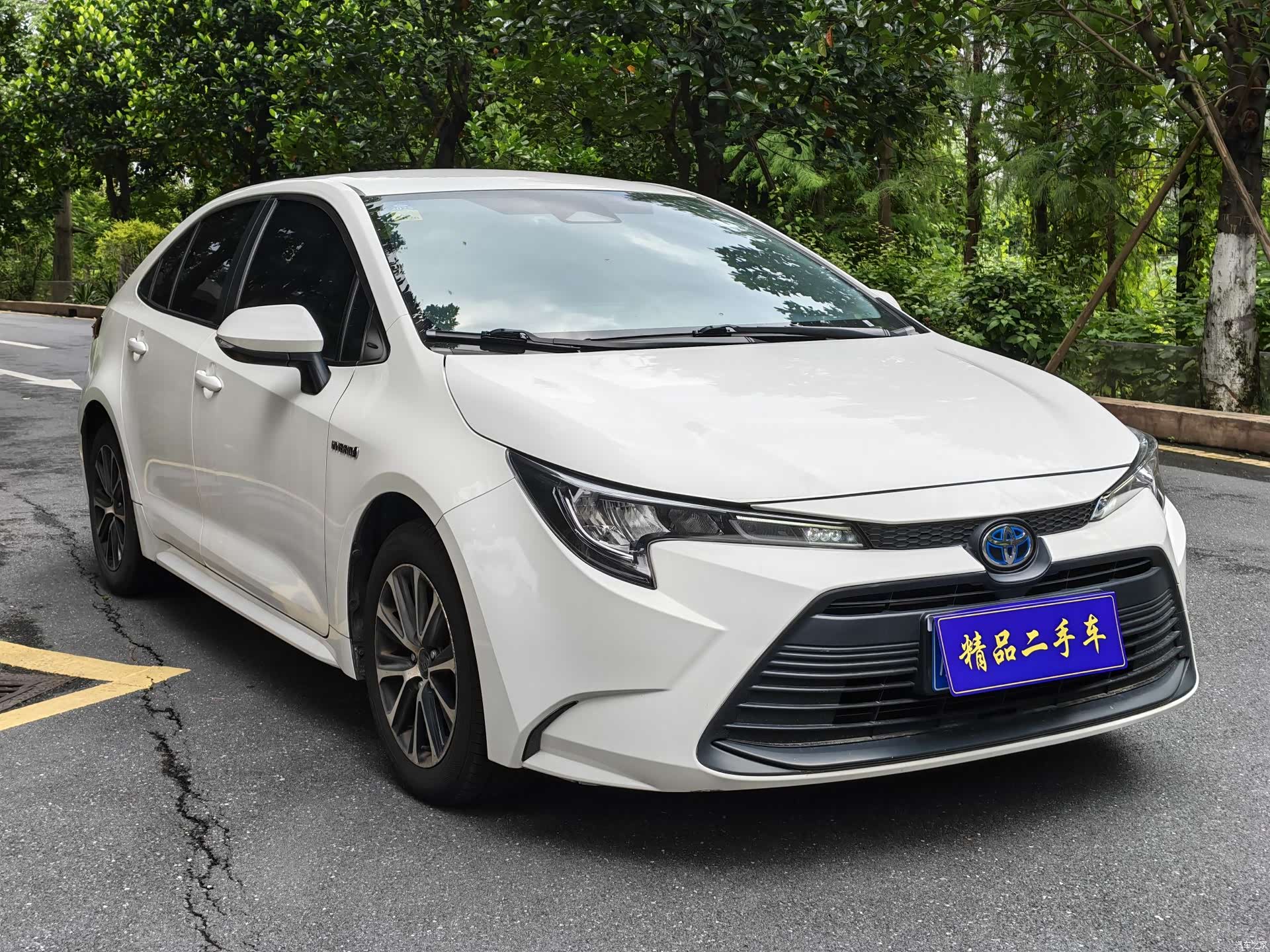 Toyota Levin, 2023 3
