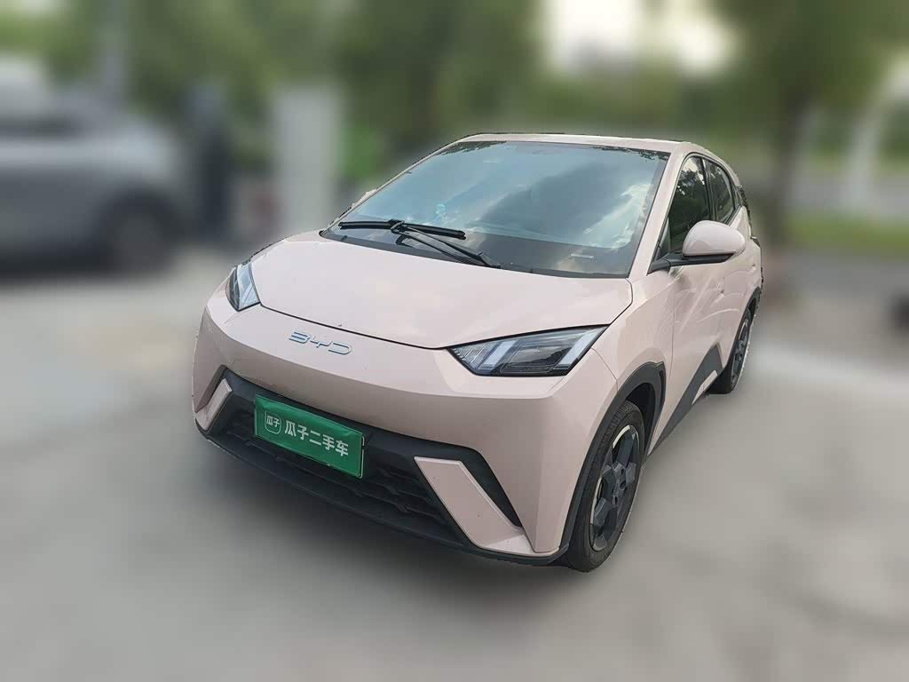 BYD Seagull