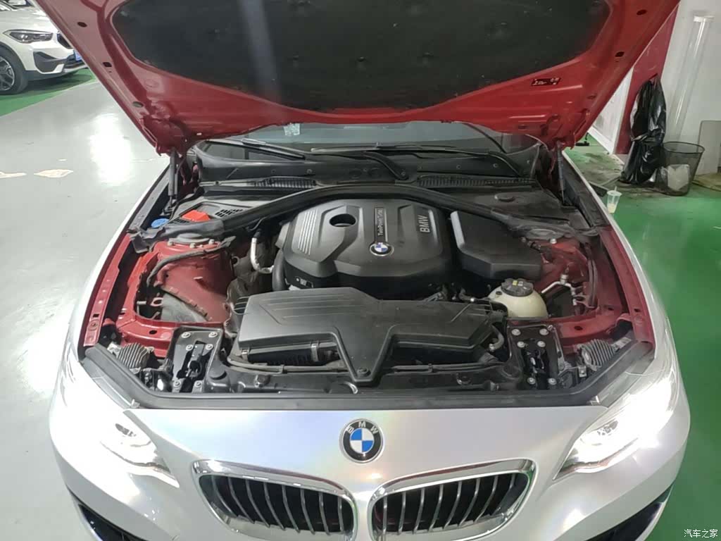 BMW 2 Series, 2018 16