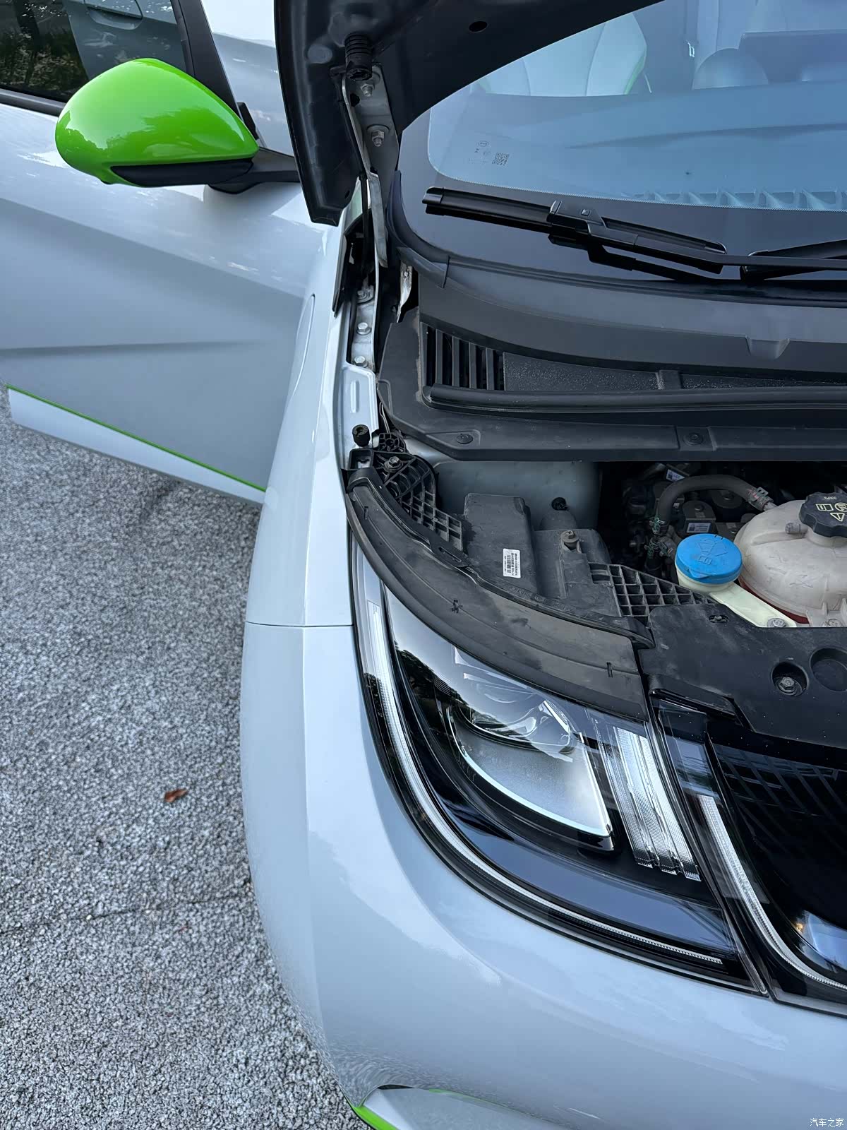BYD Dolphin, 2023 19