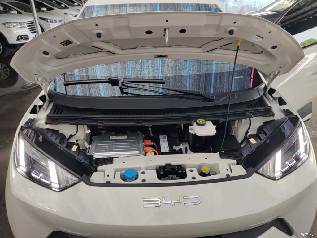 BYD Seagull, 2024 20
