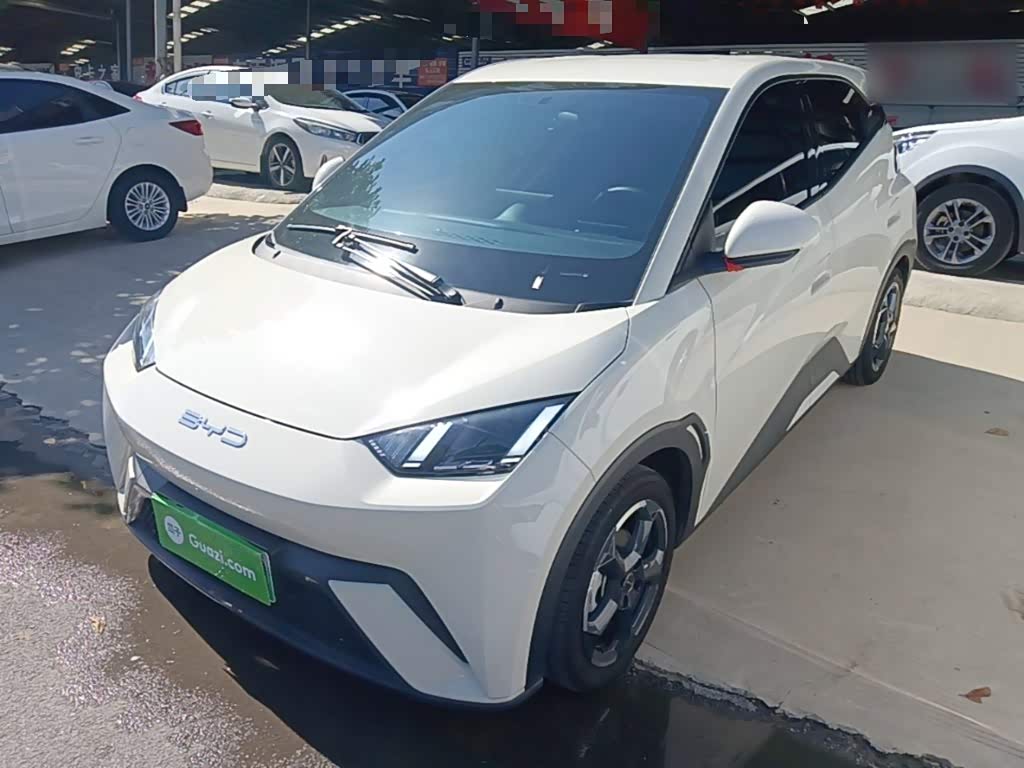 BYD Seagull