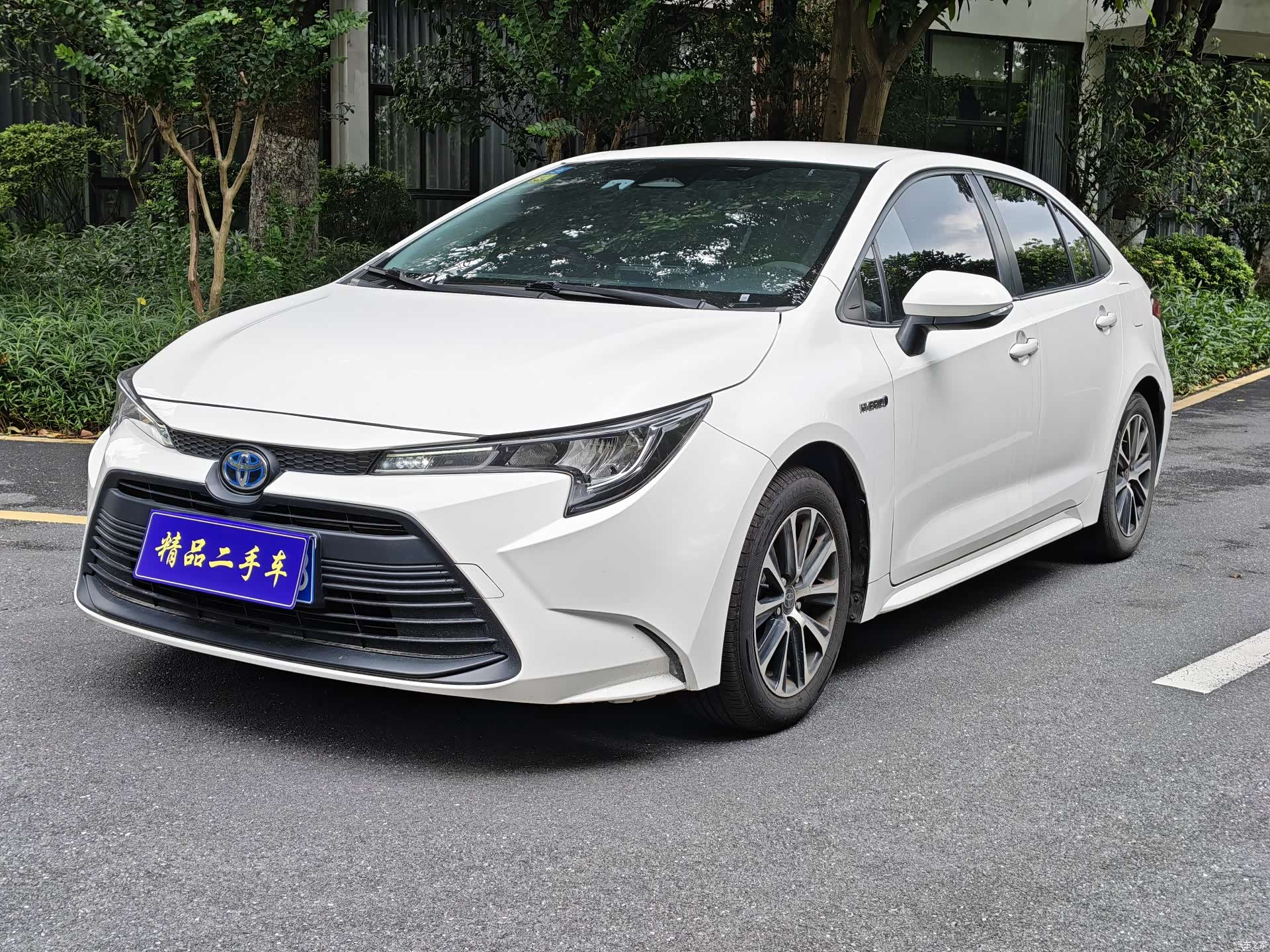 Toyota Levin, 2023 1