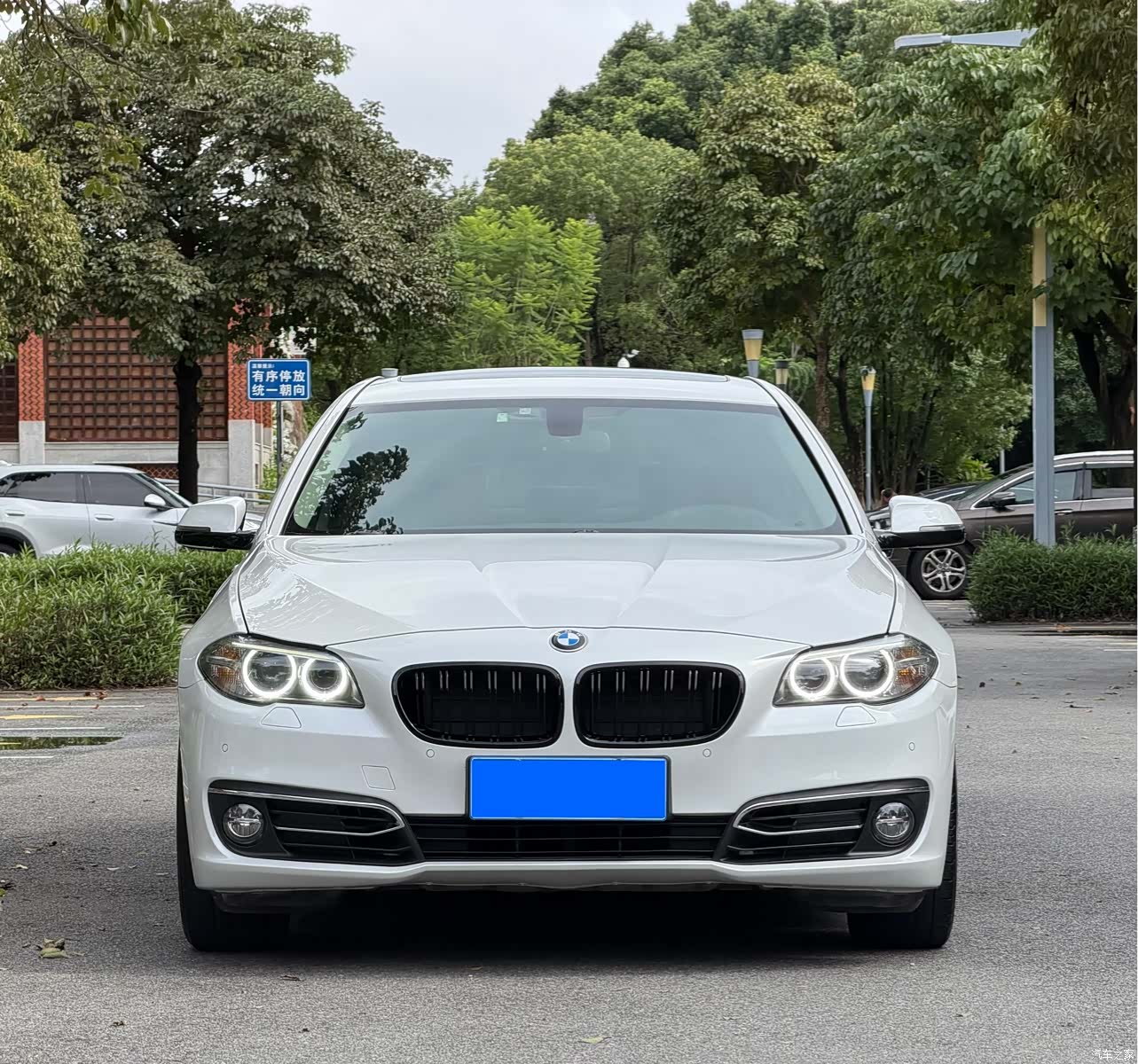 BMW 5 Series, 2017 2