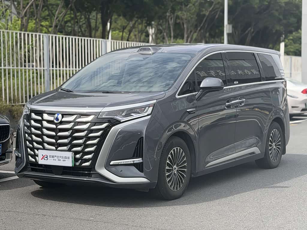 Denza D9