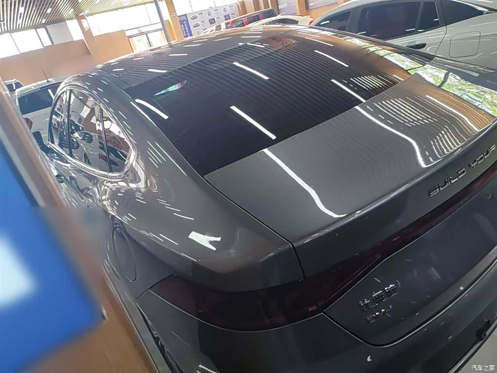 BYD Qin, 2023 все фото
