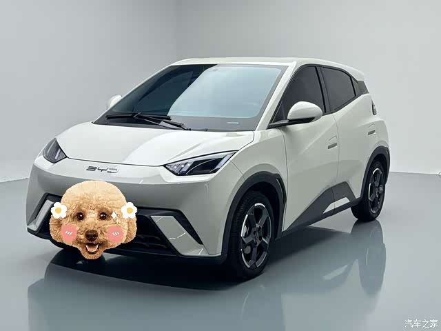 BYD Seagull, 2024 1