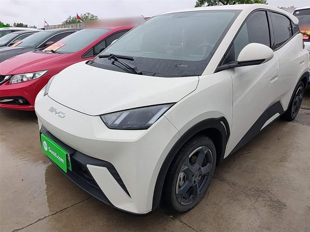 BYD Seagull