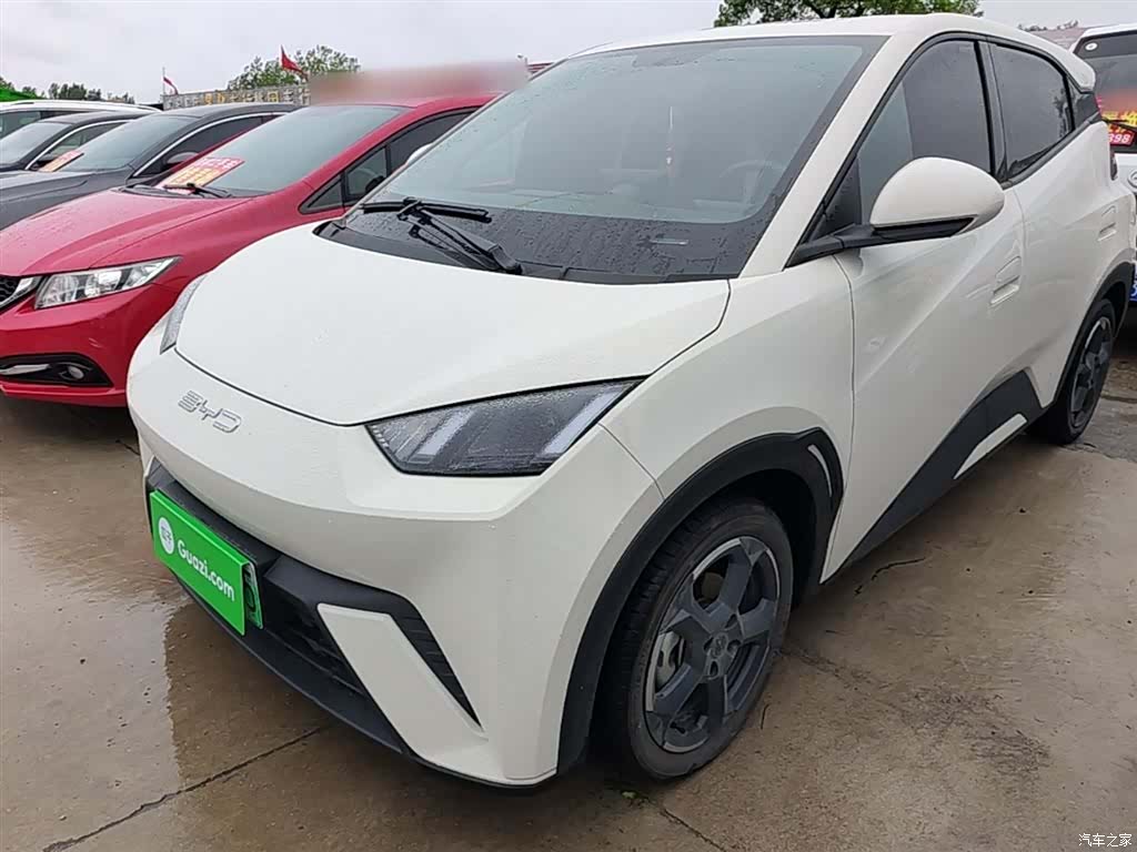 BYD Seagull, 2023 1