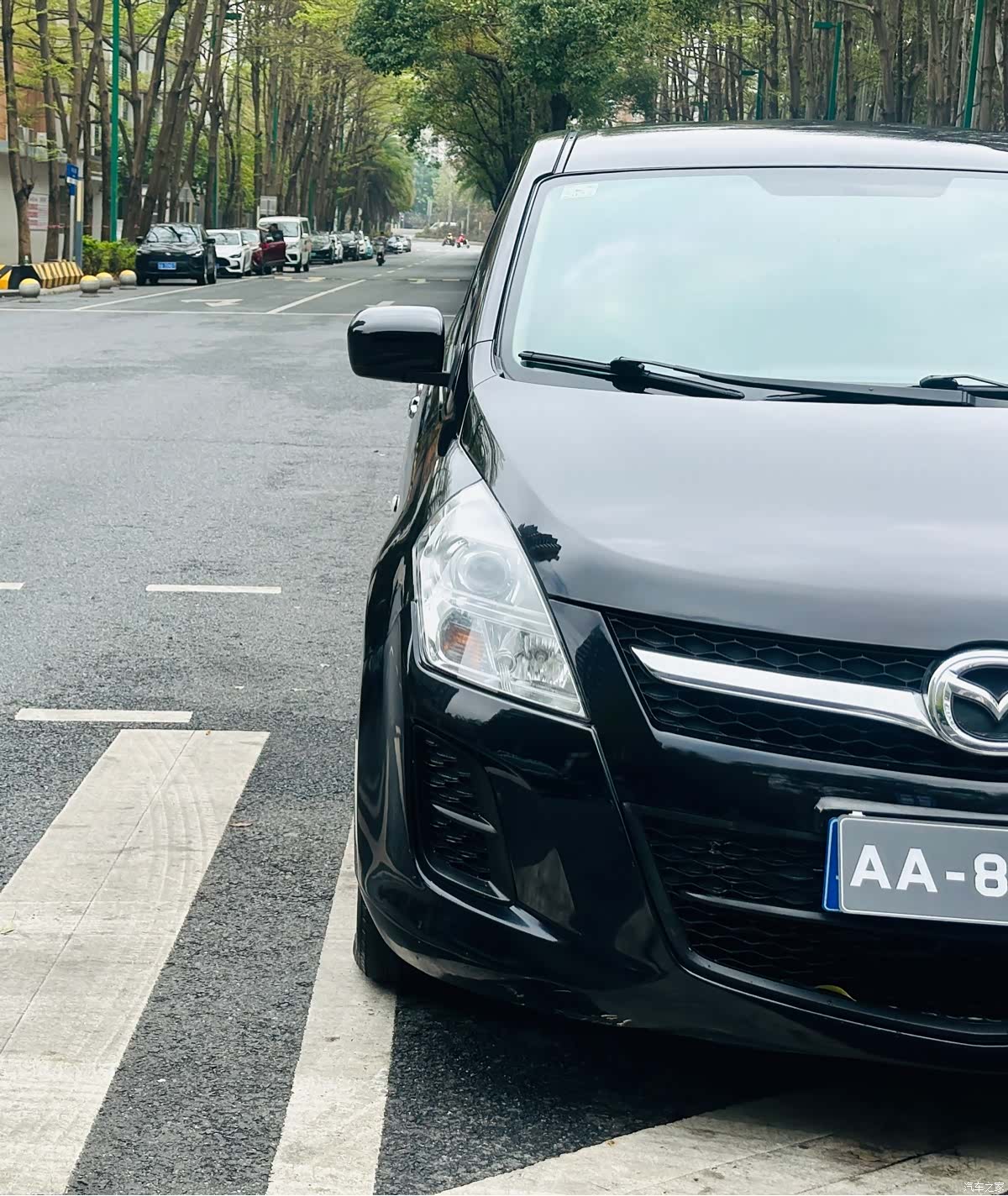 Mazda 8, 2013 все фото
