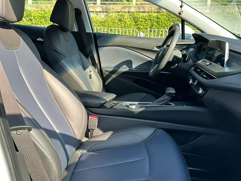 Buick Slightly blue 6