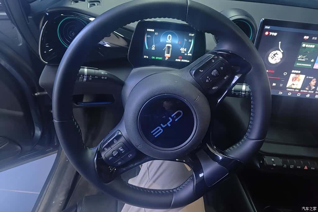 BYD Dolphin, 2024 15