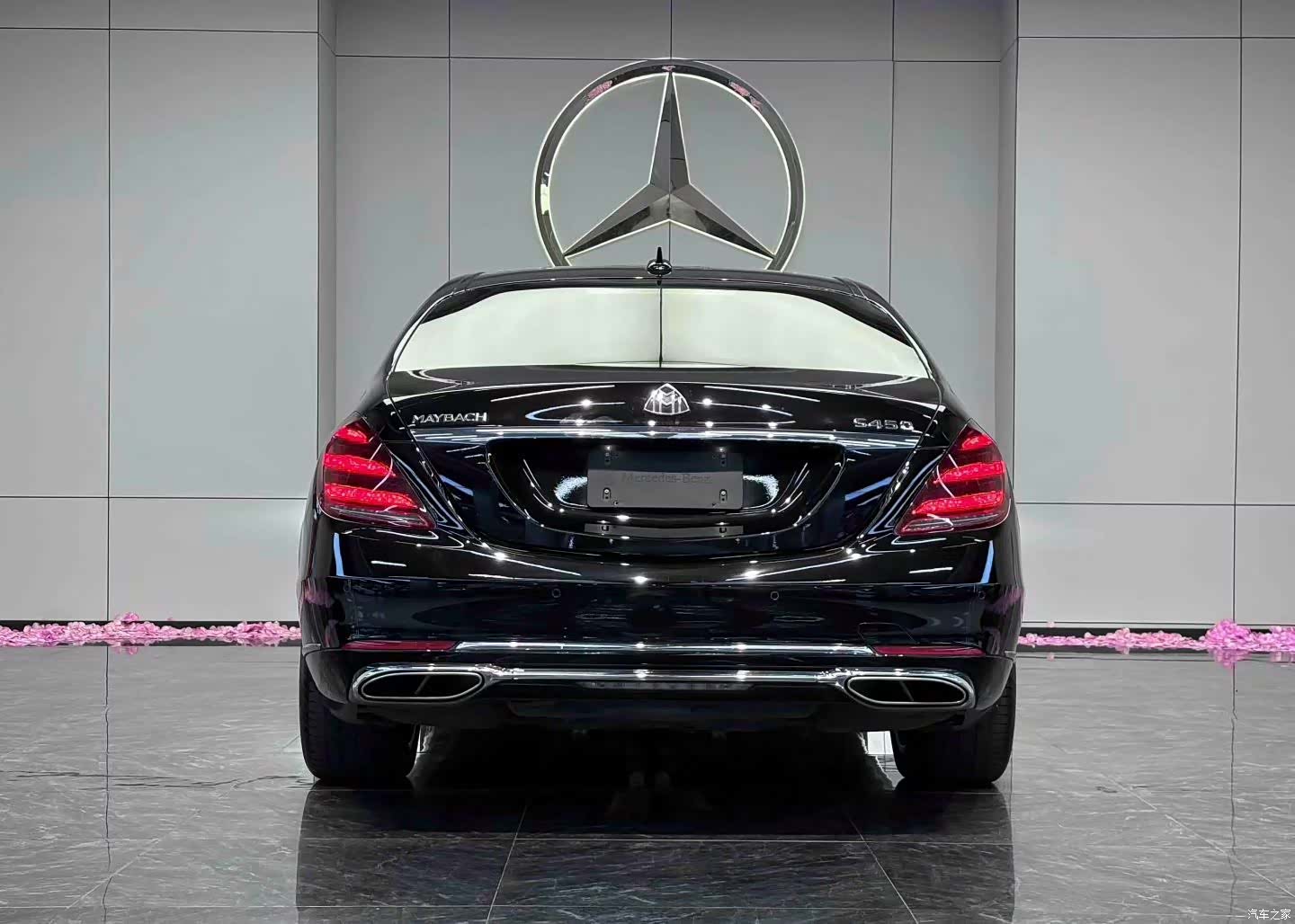 Maybach S-Class, 2020 8