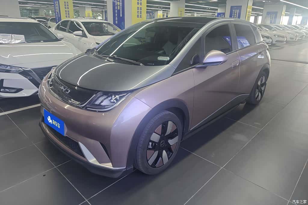 BYD Dolphin, 2025 1