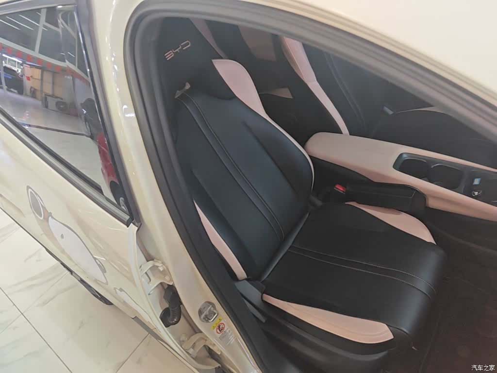 BYD Seagull, 2024 25