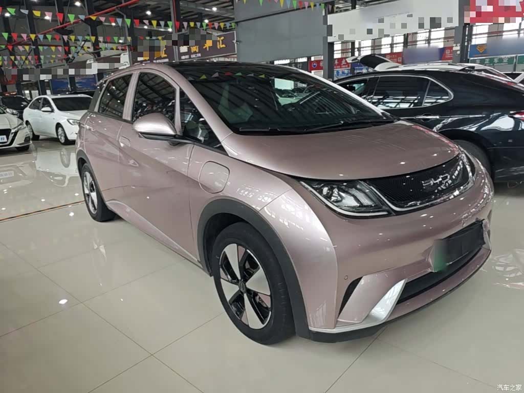 BYD Dolphin, 2023 4