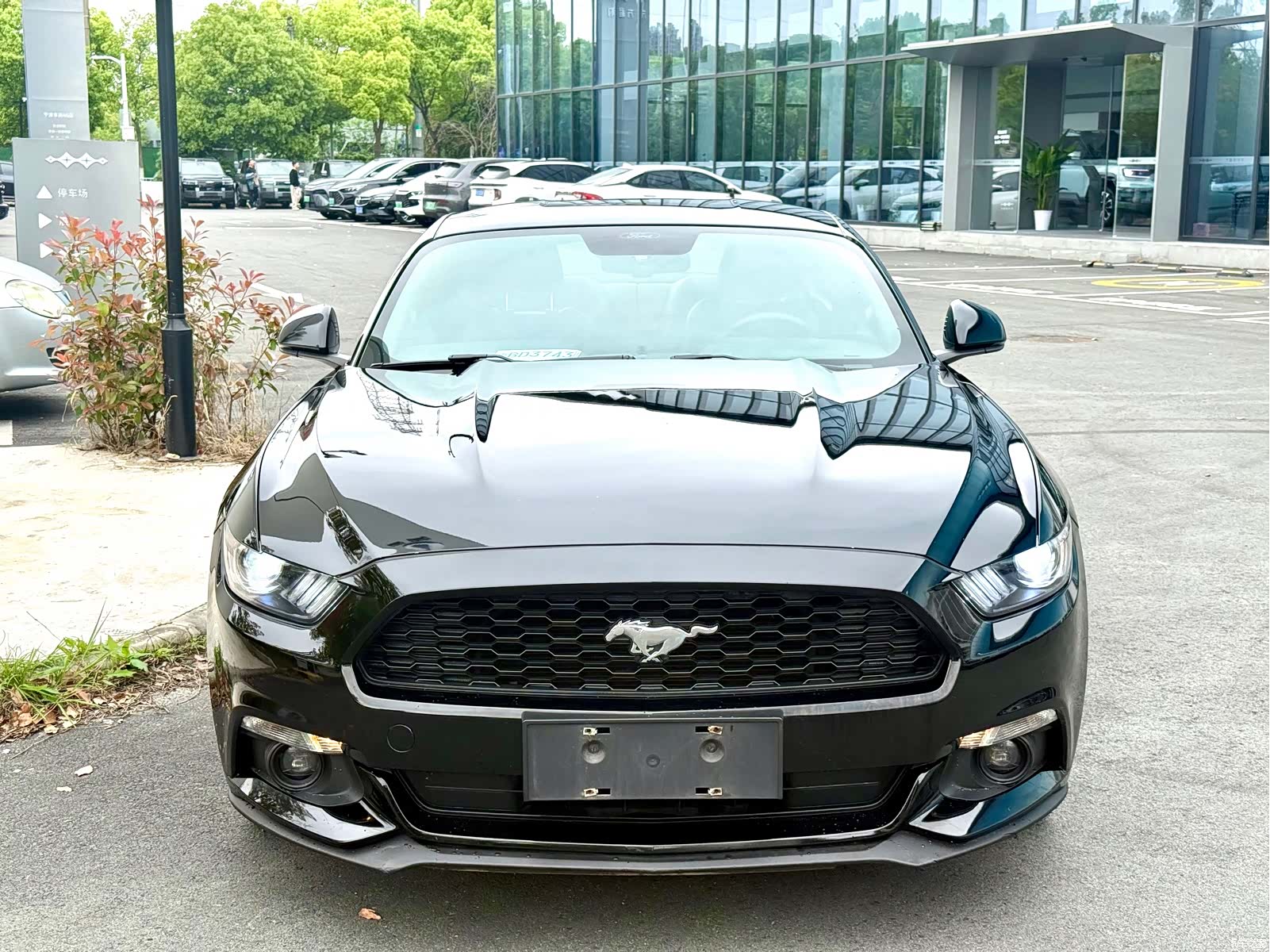 Ford Mustang, 2016 3