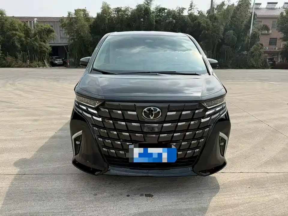 Toyota Elfa