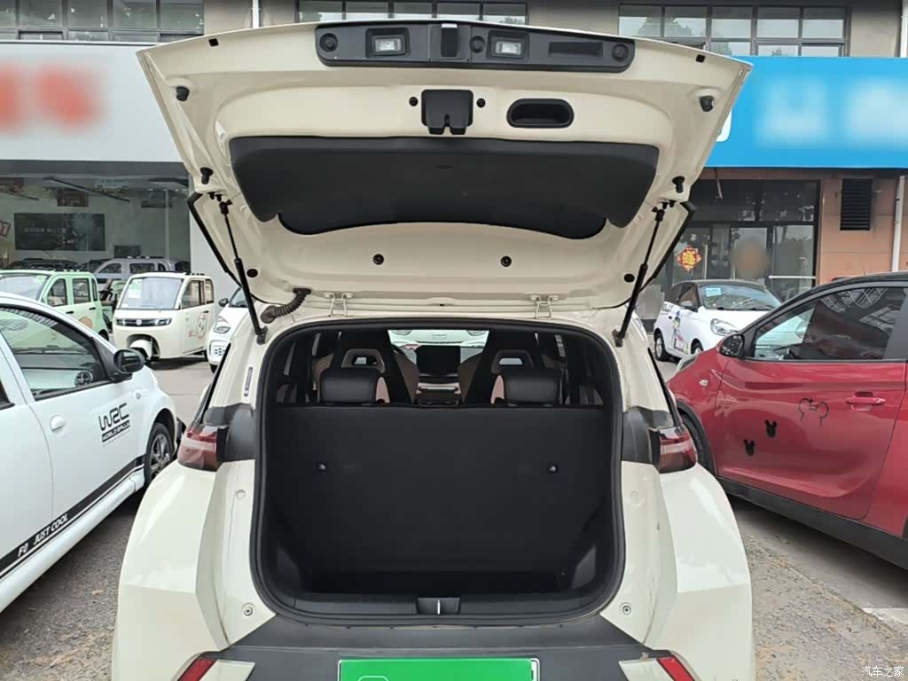 BYD Seagull, 2024 19