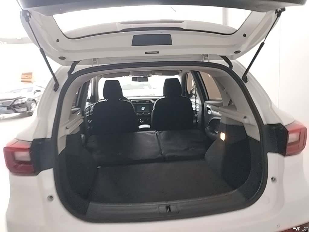 MG ZS, 2018 19