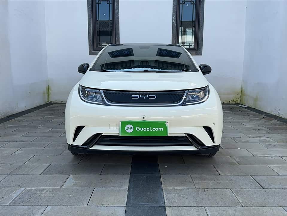 BYD dolphin
