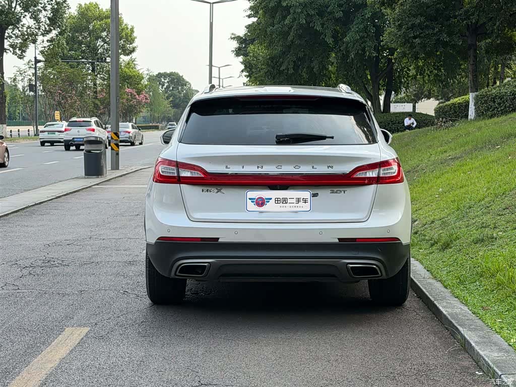 Lincoln MKX, 2019 все фото