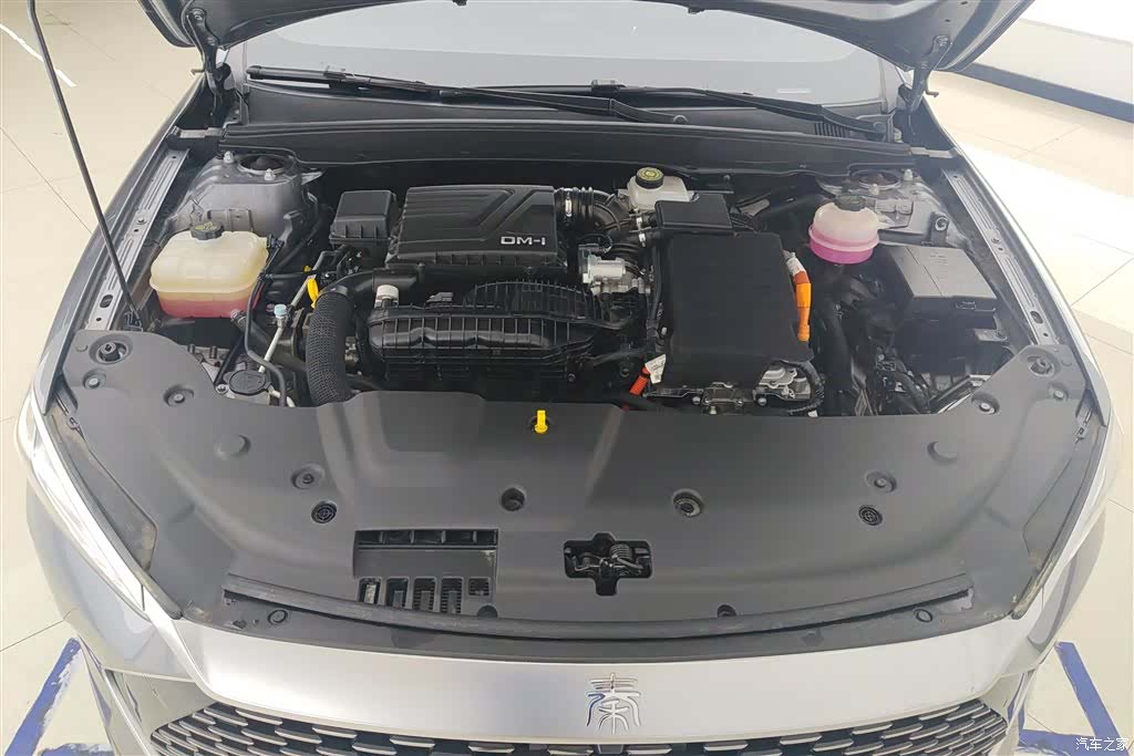 BYD Qin, 2024 10