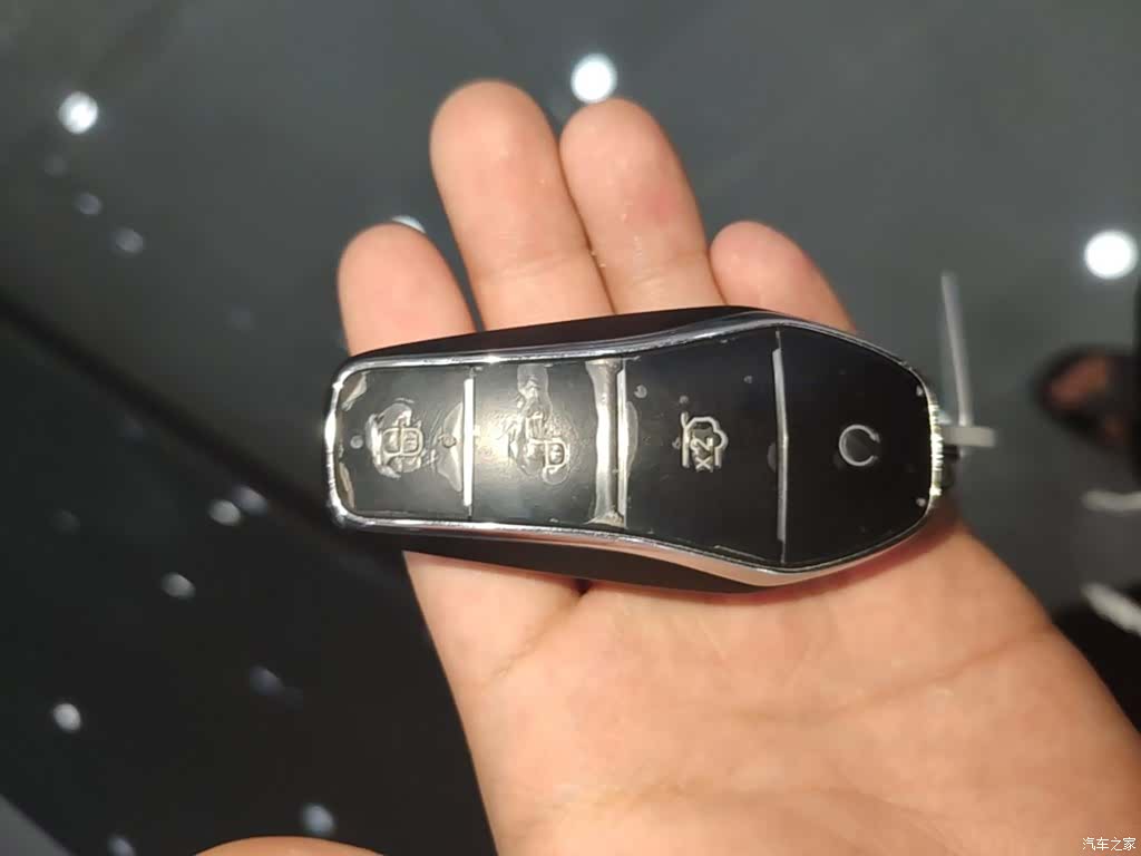 BYD Tang, 2025 9