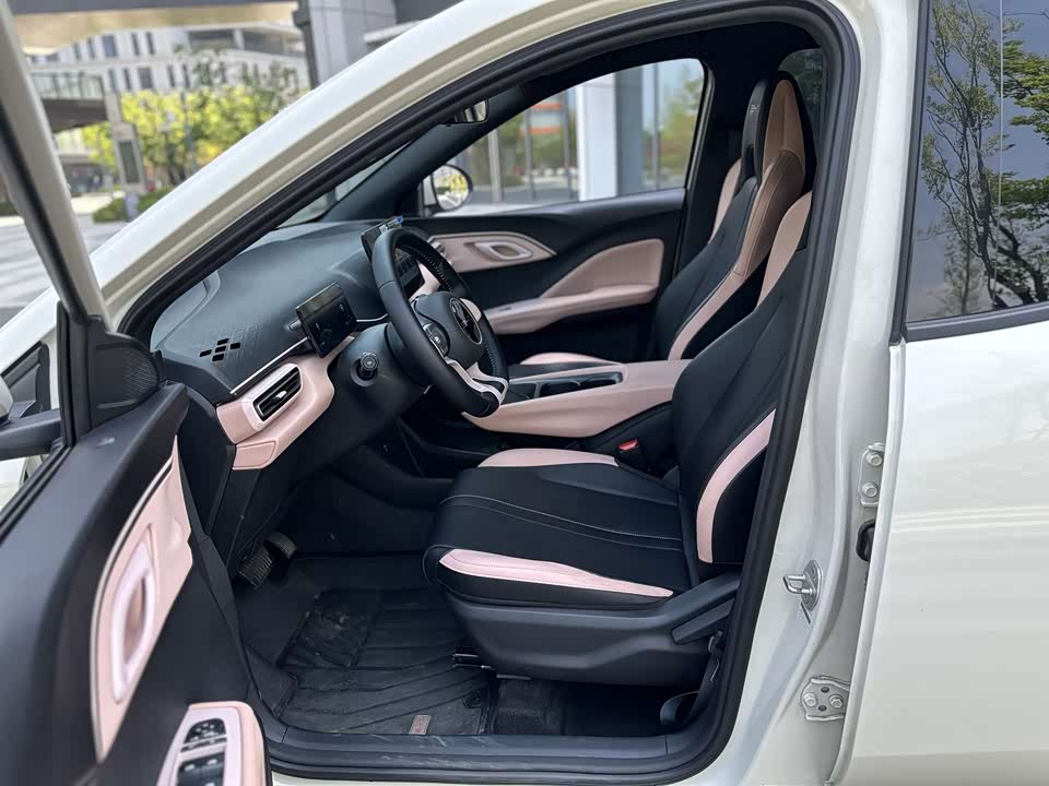BYD Seagull BYD Seagull
