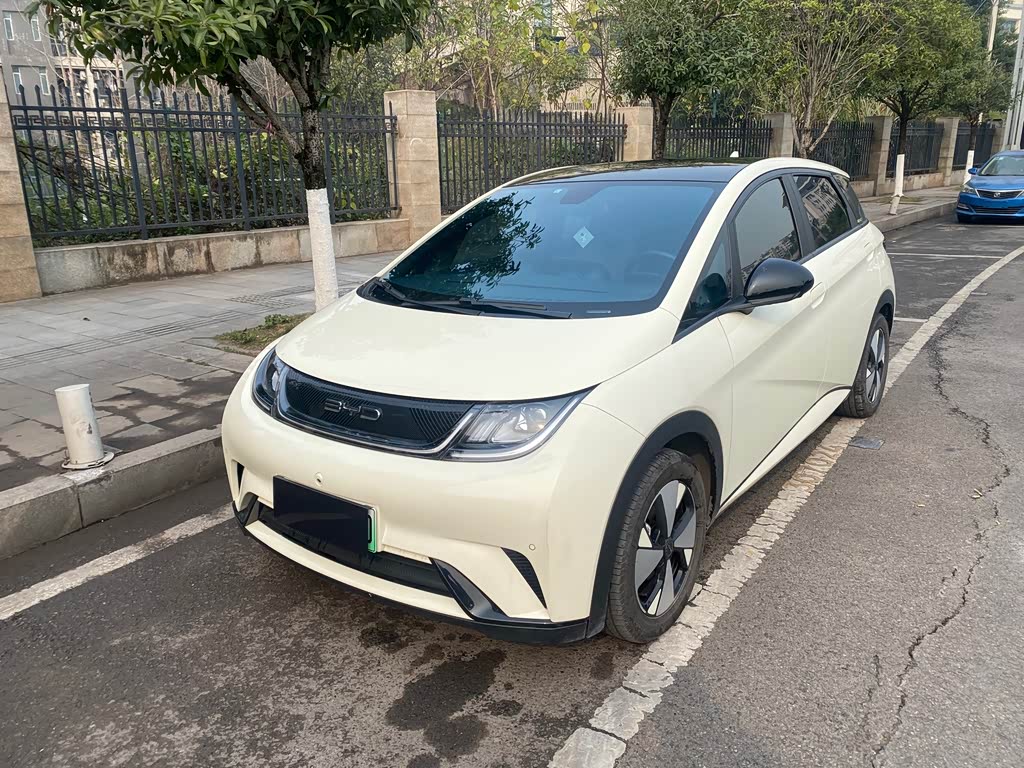 BYD Dolphin