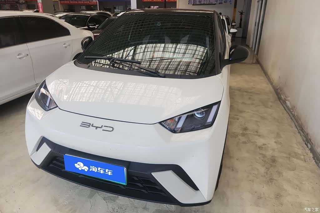 BYD Seagull, 2024 1