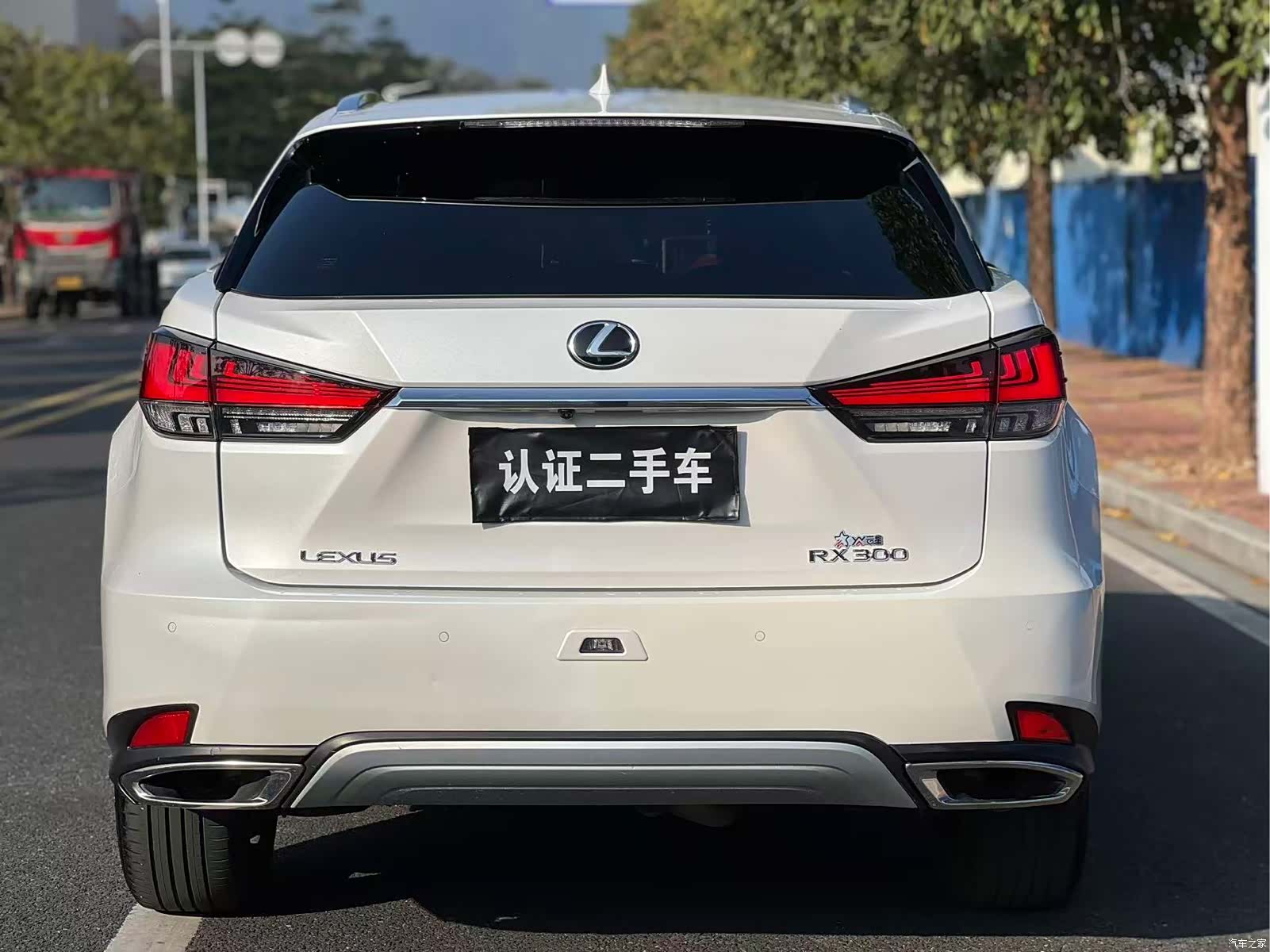 Lexus RX, 2020 все фото