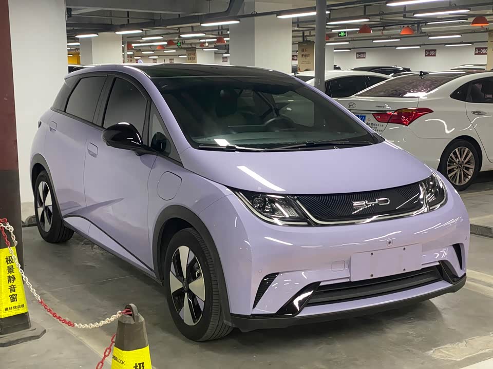 BYD dolphin