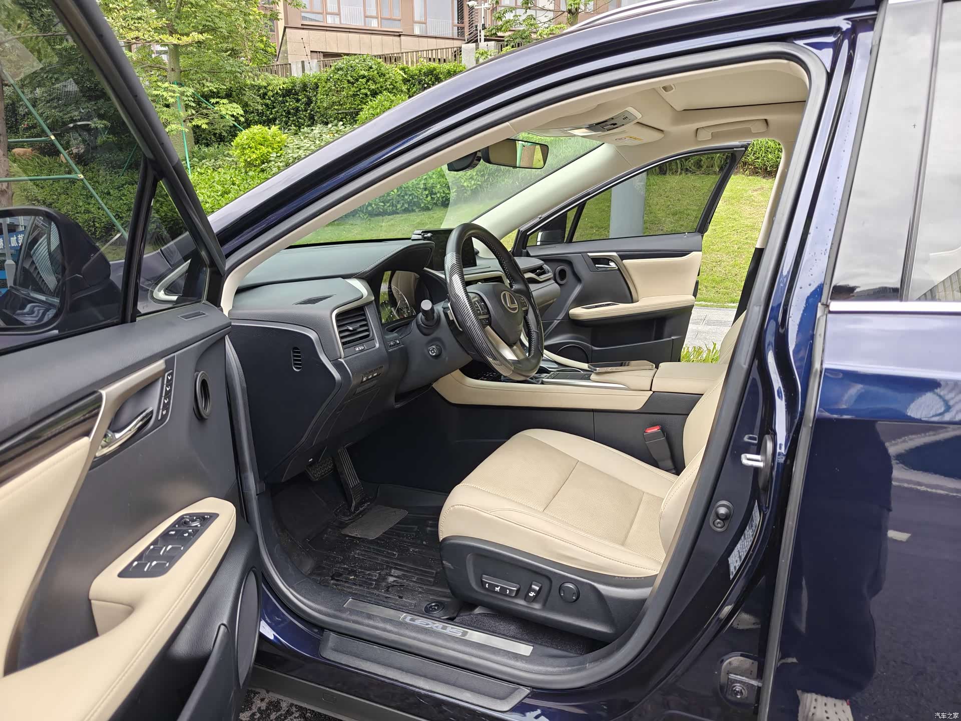 Lexus RX, 2021 все фото