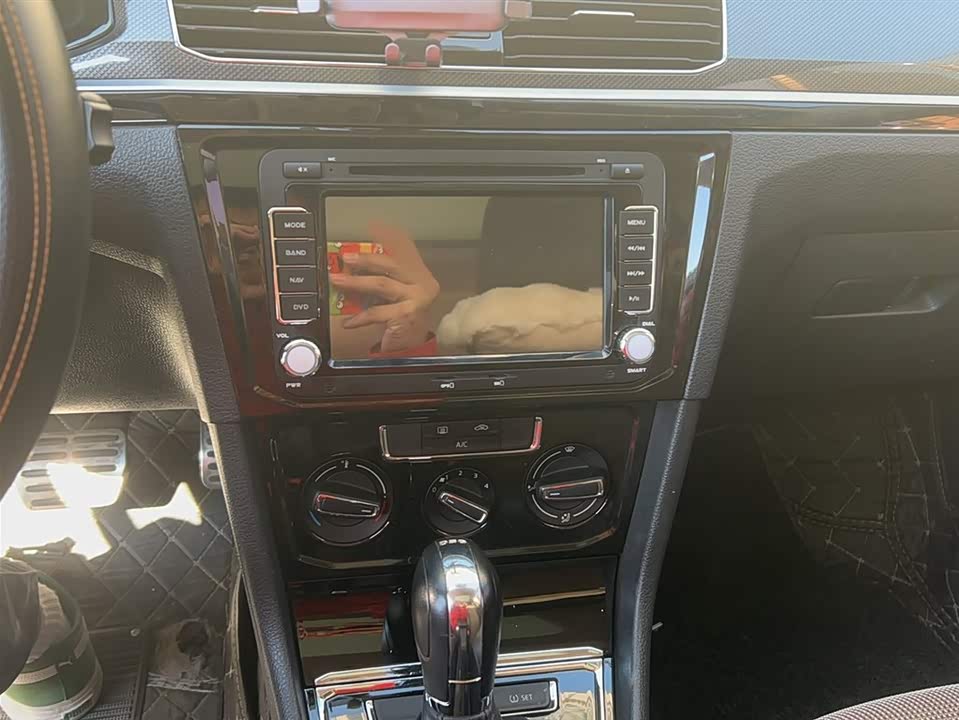 Volkswagen C-TREK Wei Collar