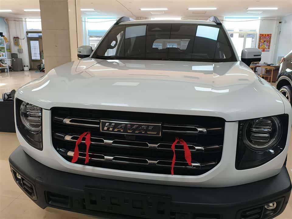 Haval Big dog