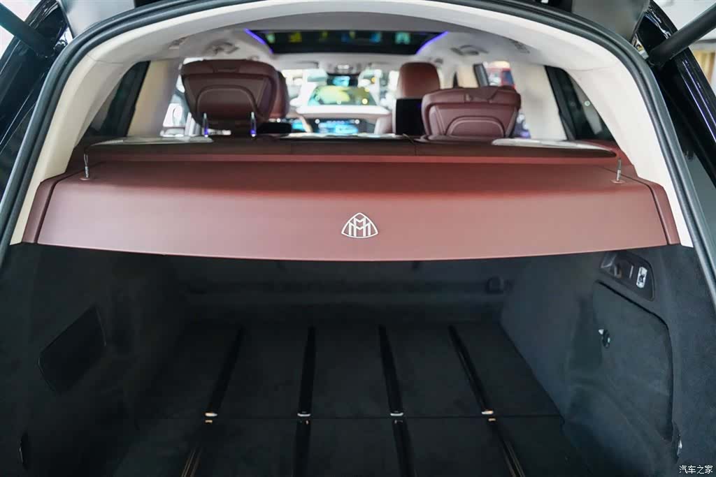 Maybach GLS, 2021 13