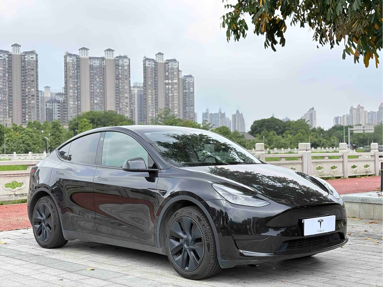 Tesla Model Y, 2023 3