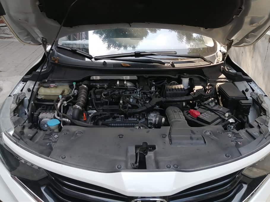 Honda Enjoy domain