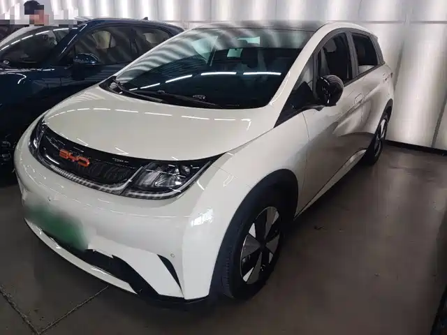BYD Dolphin 2023 — купить из Китая под заказ