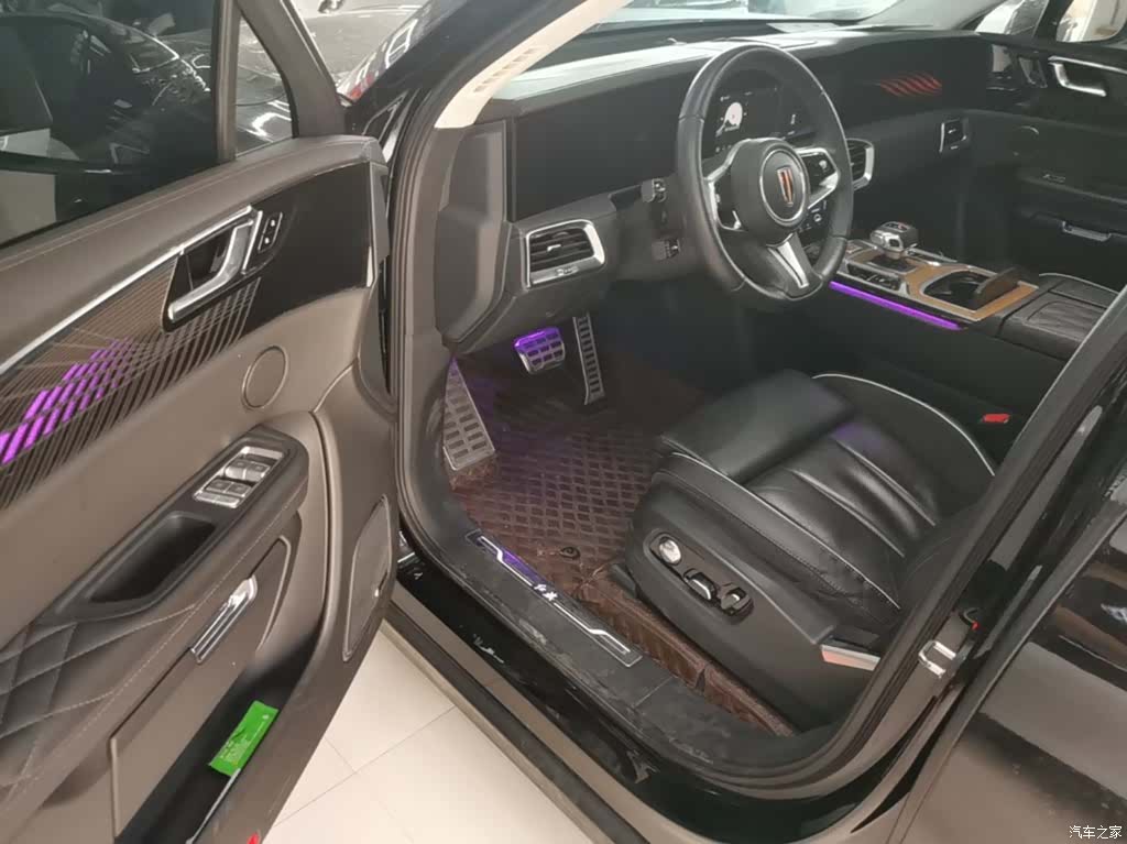 Hongqi E-HS9, 2023 16