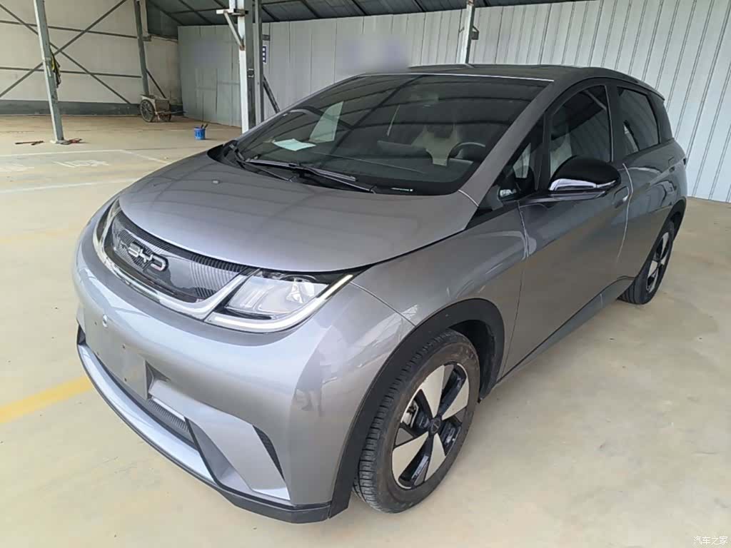 BYD Dolphin, 2023 1